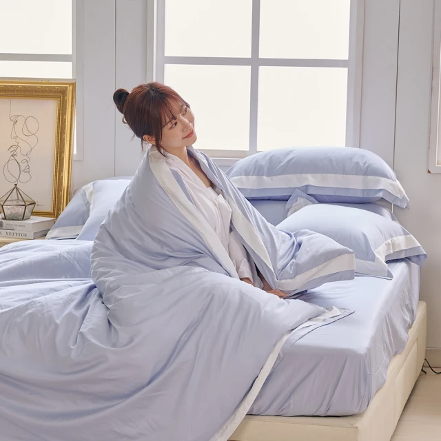 戀家小舖 棉被【天然水鳥羽絲絨被 / 兩色】輕盈保暖 台灣製 80%羽絨20%羽毛 單人/雙人/加大 歷史價格詳細信息