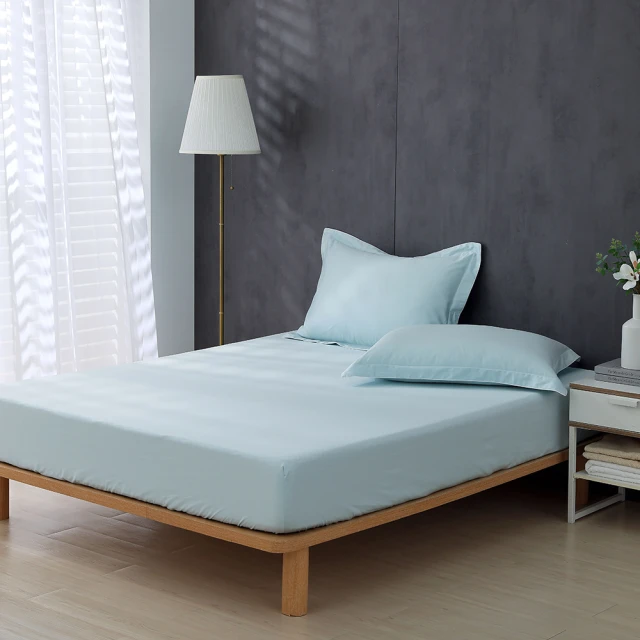 【HongYew 鴻宇】科技發熱保暖墊 獨家四層工藝 免插電 蓄熱保暖-多款任選(雙人加大 冬被 棉被) 歷史價格詳細信息