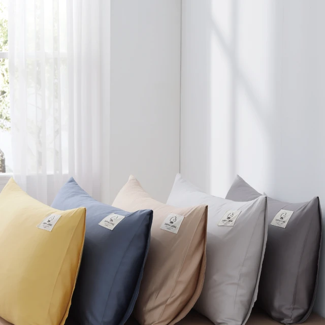 【朵法亞darphia】棉眠枕 可水洗獨立筒枕改版2.0 枕頭 (1入) 歷史價格詳細信息