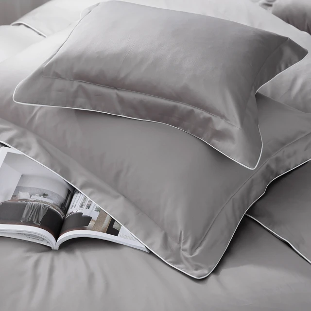 鴻宇 SUPIMA 500織 歐式壓框枕套2入 杰拉爾 台灣製2285 歷史價格詳細信息