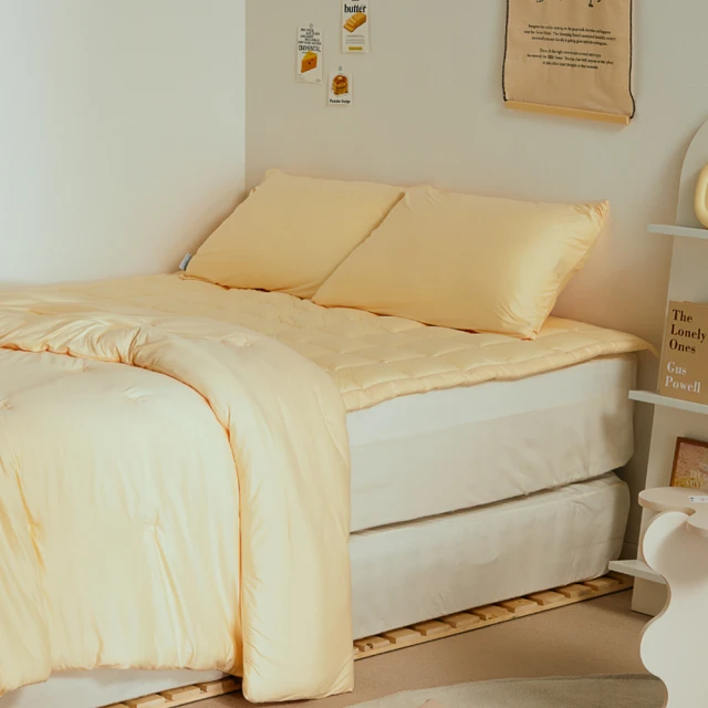 【BODYLUV】抱抱床墊 單人(在家或露營 極溫柔觸感) 歷史價格詳細信息