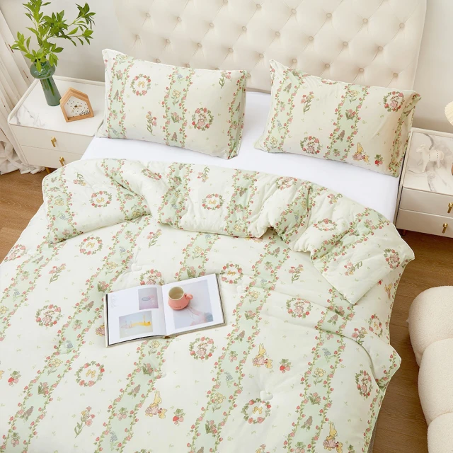 BELLE VIE 韓版雲朵絨 厚鋪棉保暖可水洗冬被 (180x210cm) 深玄灰 歷史價格詳細信息