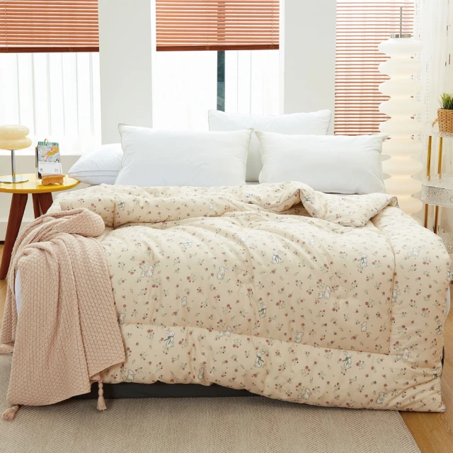 BELLE VIE 韓版雲朵絨 厚鋪棉保暖可水洗冬被 (180x210cm) 深玄灰 歷史價格詳細信息