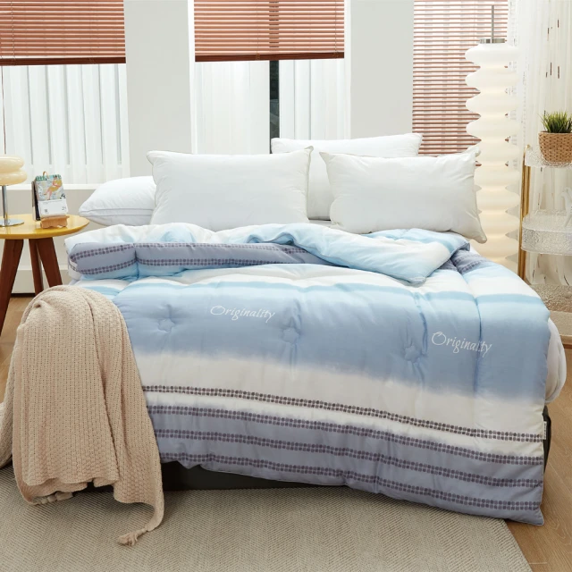 BELLE VIE 韓版雲朵絨 厚鋪棉保暖可水洗冬被 (180x210cm) 深玄灰 歷史價格詳細信息