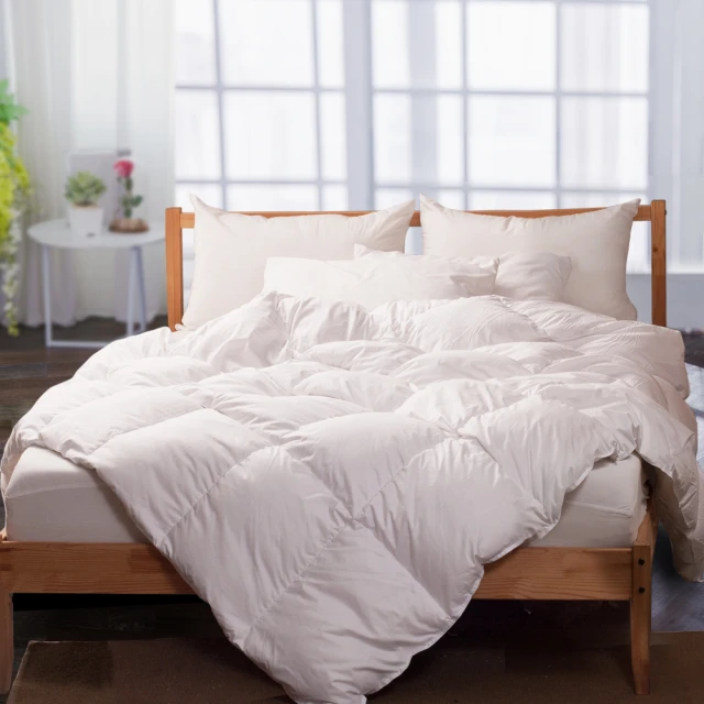 【Carolan】迪士尼 法蘭絨暖暖被(頑皮米奇) 歷史價格詳細信息