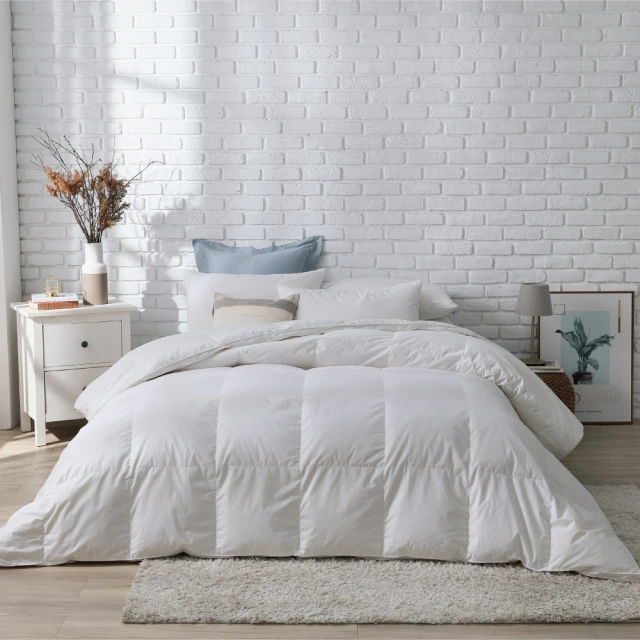 【就是興隆】 整套 全套小說 平凡職業造就世界最強(1~13) 前傳(1~6) 短篇1  附書套  二手現貨 歷史價格詳細信息