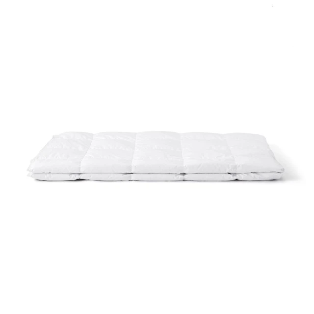 【MUJI 無印良品】防蟎羽毛被/一層式/D 歷史價格詳細信息