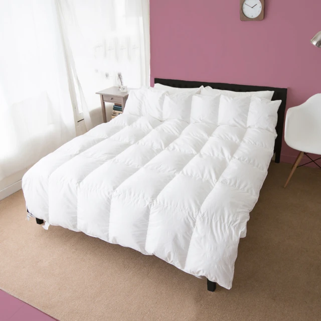 【凱蕾絲帝】台灣製造-冬夏兩用臻愛沁涼紙纖高支撐三折單人記憶聚合床墊-3尺 歷史價格詳細信息