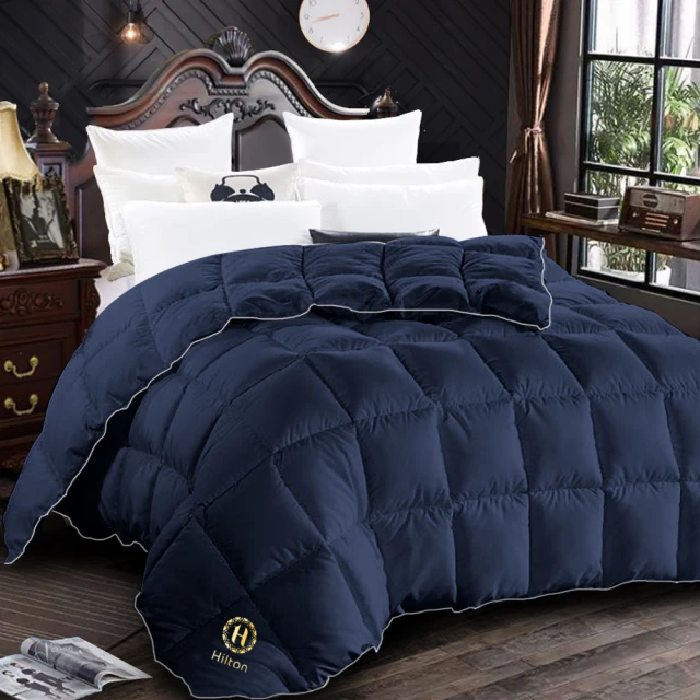 五星級酒店專用被芯賓館民宿白色四季通用空調被芯子加厚加大被芯 歷史價格詳細信息