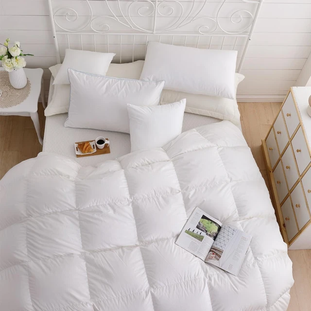 【HongYew 鴻宇】科技發熱保暖墊 獨家四層工藝 免插電 蓄熱保暖-多款任選(雙人加大 冬被 棉被) 歷史價格詳細信息