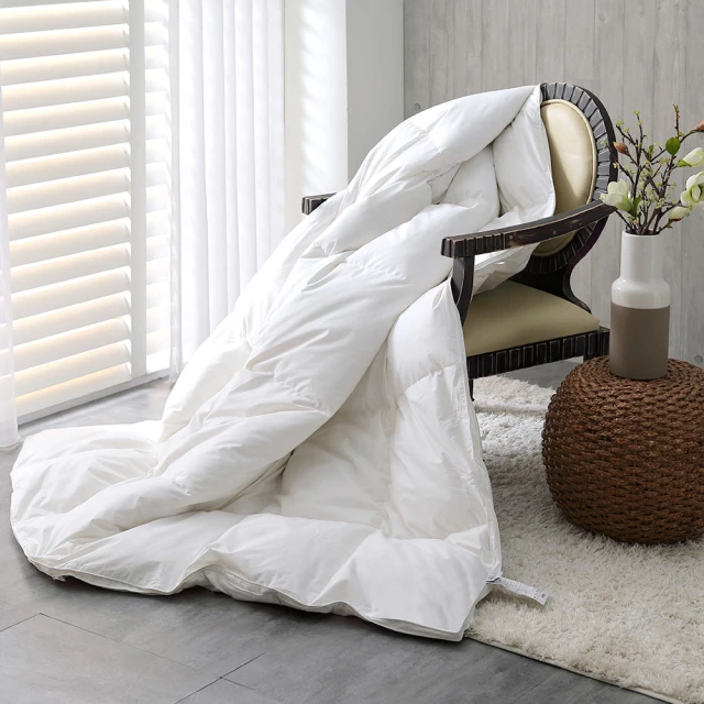 【HongYew 鴻宇】科技發熱保暖墊 獨家四層工藝 免插電 蓄熱保暖-多款任選(雙人加大 冬被 棉被) 歷史價格詳細信息