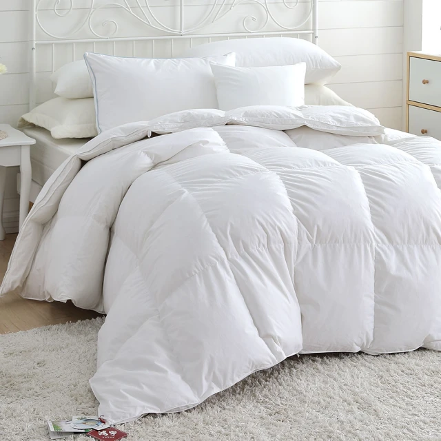 鴻宇HongYew  雙人加大防水透氣床包式保潔墊 歷史價格詳細信息