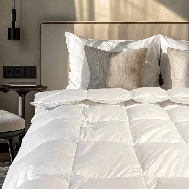 五星級飯店御用枕 1入【鳳尾灰】(可水洗/透氣布料/蓬鬆飽滿) 歷史價格詳細信息