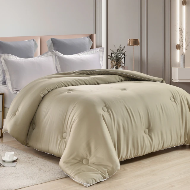 【Betrise】石墨烯科技抗菌-100%天然手工長纖純蠶絲被(雙人6X7尺) 歷史價格詳細信息