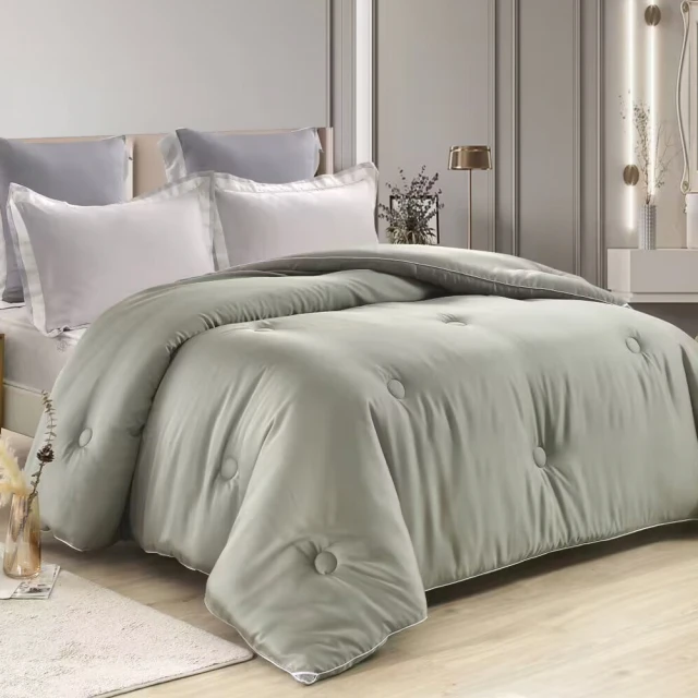 【Betrise】石墨烯科技抗菌-100%天然手工長纖純蠶絲被(雙人6X7尺) 歷史價格詳細信息