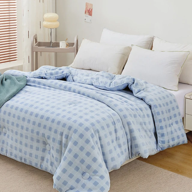 BELLE VIE 韓版雲朵絨 厚鋪棉保暖可水洗冬被 (180x210cm) 深玄灰 歷史價格詳細信息