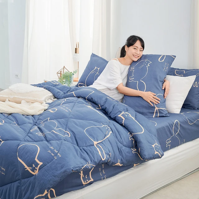 【DUYAN 竹漾】Heat-Fi 可水洗羽絲絨被 / 菱格世代 台灣製 歷史價格詳細信息