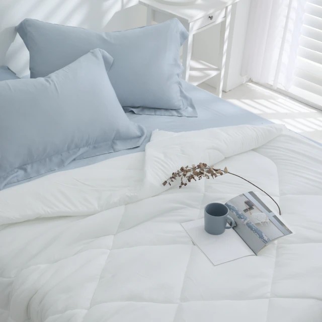 【AnD HOUSE 安庭家居】60支天絲300織兩用雙人被套-180x210公分(多色任選/透氣柔滑/裸睡首選/抗敏抑菌) 歷史價格詳細信息