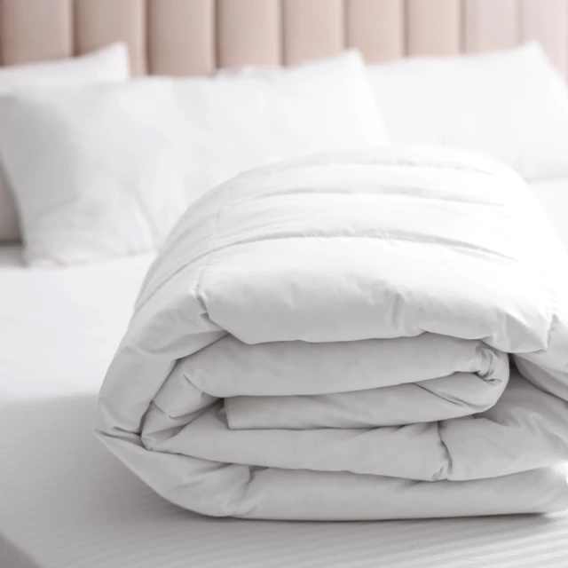 寢室安居 韓版雲朵蓬蓬被(四季被/冬被) 歷史價格詳細信息