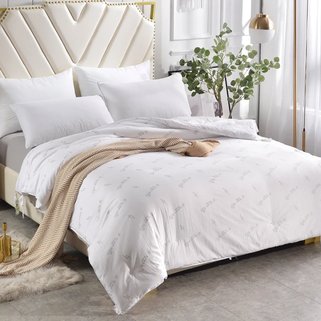 【Betrise】德國專利纖維 德絨抗菌蓄熱暖冬被-雙人6X7尺(獨家升級款3KG) 歷史價格詳細信息