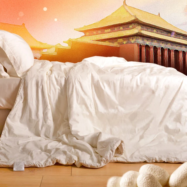 6斤棉填充瑜伽抱枕艾揚格陰瑜伽初學者輔助孕婦腰靠枕可拆洗大號 歷史價格詳細信息