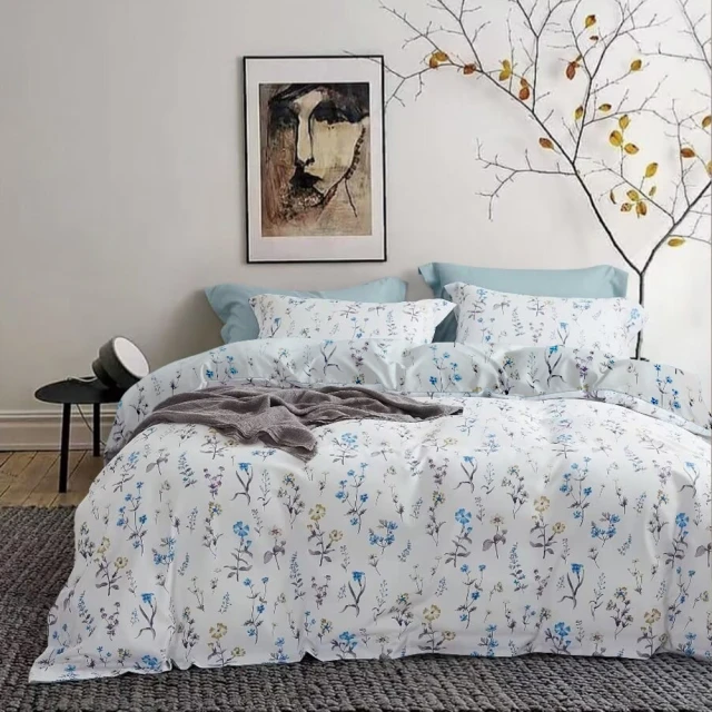 【寢城之戀】萊賽爾天絲TENCEL 吸濕排汗 床包枕套組/兩用被床包組 台灣製造(單人/雙人/加大/特大/多款任選) 歷史價格詳細信息