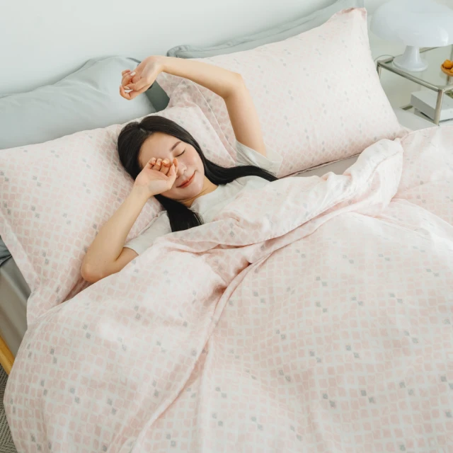 【翔仔居家】60支天絲 兩用舖棉被套/四季被+枕套-植室(單人) 歷史價格詳細信息