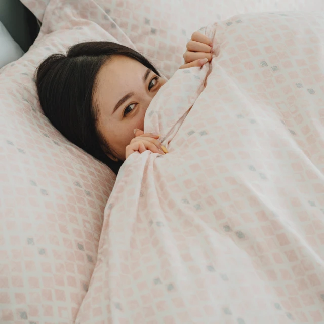 【翔仔居家】60支天絲 兩用舖棉被套/四季被+枕套-植室(單人) 歷史價格詳細信息