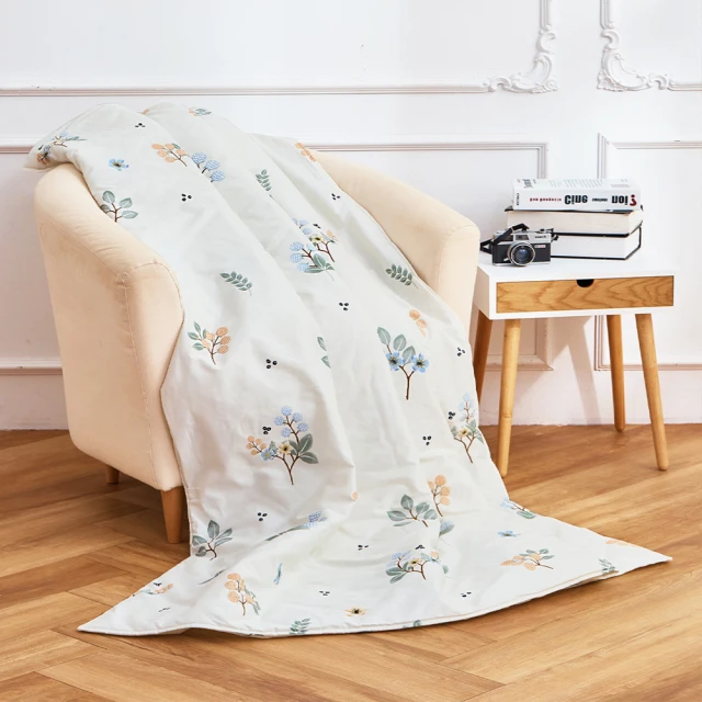 【MIT iLook】台灣製 精緻舒柔棉四季被/涼被 5x6尺(任選1入) 歷史價格詳細信息