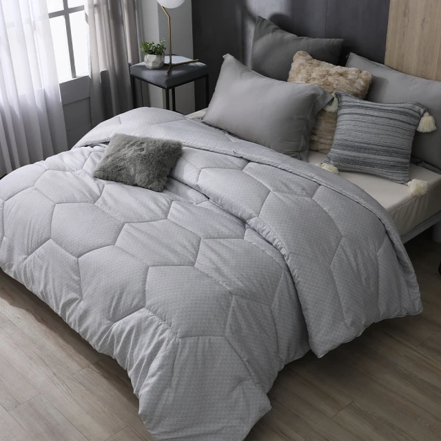 HOYACASA 石墨烯防螨抗菌舒眠減壓獨立筒枕(二入) 歷史價格詳細信息