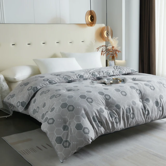 A-nice 發熱蠶絲被 雙宮繭長纖桑蠶絲被 蠶絲被 冬被胎 可入被套 60s純棉手工拉製【羽絨被保暖．羊毛被貼身】FL 歷史價格詳細信息