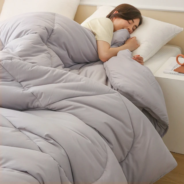 【ALAI 寢飾工場】台灣製舒柔棉鋪棉兩用被套180x210cm(多款任選/涼被/四季被) 歷史價格詳細信息