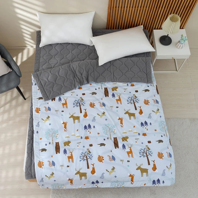 【HongYew 鴻宇】科技發熱保暖墊 獨家四層工藝 免插電 蓄熱保暖-多款任選(雙人加大 冬被 棉被) 歷史價格詳細信息