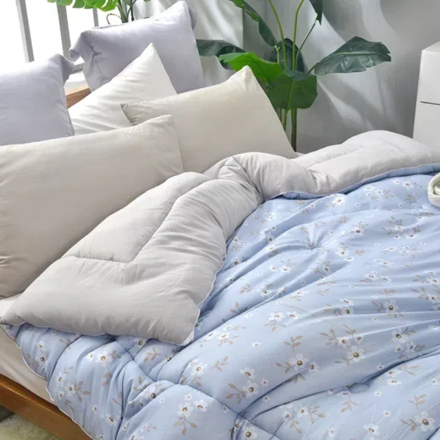 寢室安居 韓版雲朵蓬蓬被(四季被/冬被) 歷史價格詳細信息