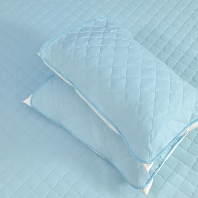 【Tonia Nicole 東妮寢飾】TopCool超萌感凍系列涼感抱枕/午安枕(三款任選) 歷史價格詳細信息