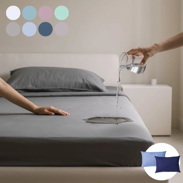 【寢安家居】銀離子護理級台灣製薄被套床包組(5尺雙人四件組 床單床罩被單 R41) 歷史價格詳細信息