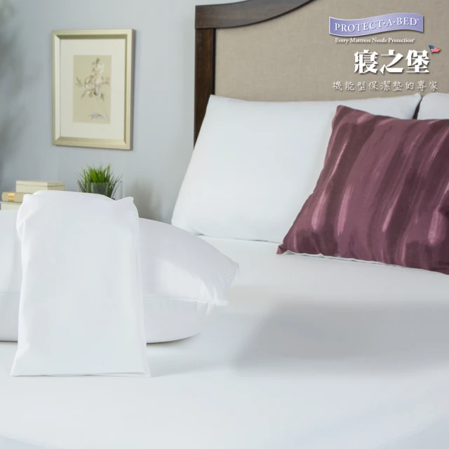 【美國寢之堡】竹纖維嬰枕保潔墊組(含床包&枕套) 歷史價格詳細信息