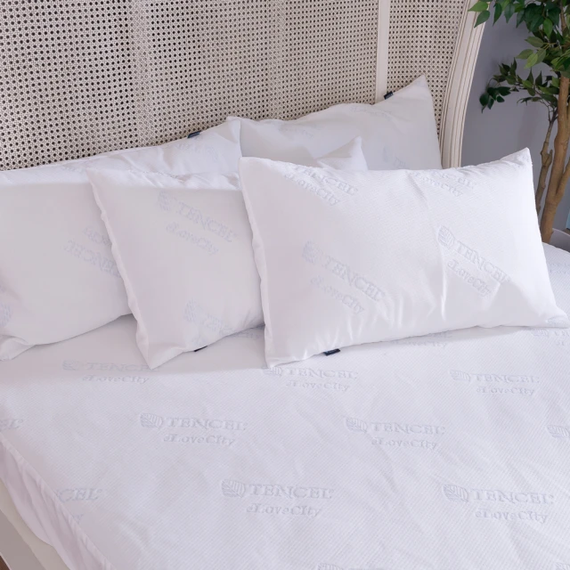 【寢城之戀】台灣製 專業護理級天絲 吸濕排汗防蹣防水 床包式保潔墊(加大) 歷史價格詳細信息