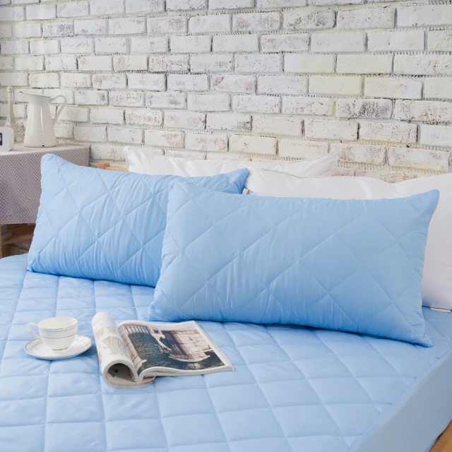 【寢城之戀】馬卡龍炫彩 防汙防塵透氣 床包式保潔墊 台灣製造(單人/雙人/加大/特大/多色任選) 歷史價格詳細信息