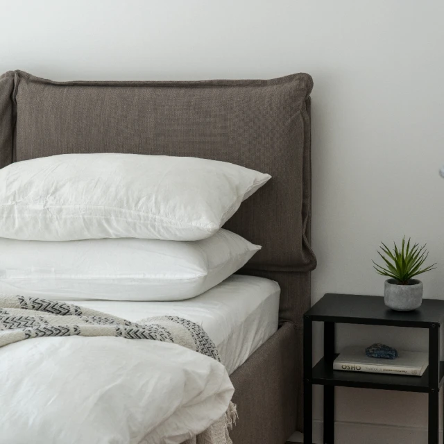 【Ever Soft 】 寶貝墊 Deluxe 柔織型 保潔枕頭套 53x78cm 歷史價格詳細信息