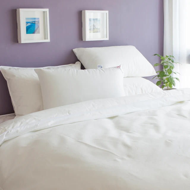 舒利渼人工皮傷口隱形貼-小傷口/指用(6片) 歷史價格詳細信息