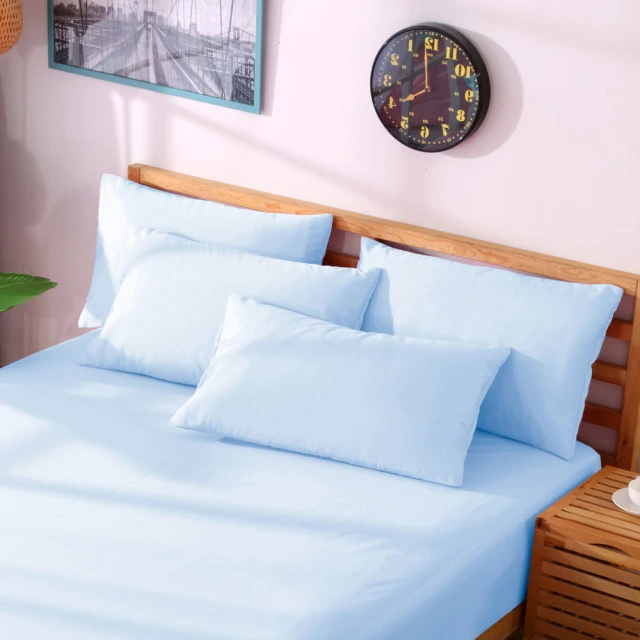 【寢城之戀】100%萊賽爾天絲TENCEL60支天絲刺繡床包兩用被套 (雙人/加大/特大/多色任選) 歷史價格詳細信息