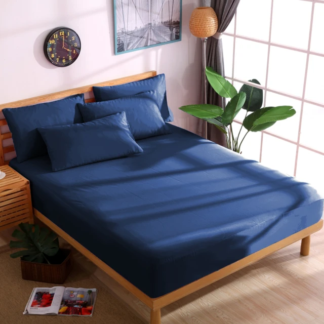 【寢城之戀】100%萊賽爾天絲TENCEL60支天絲刺繡床包兩用被套 (雙人/加大/特大/多色任選) 歷史價格詳細信息