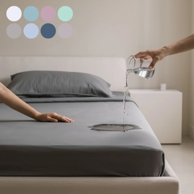 【寢安家居】銀離子護理級台灣製薄被套床包組(5尺雙人四件組 床單床罩被單 R41) 歷史價格詳細信息