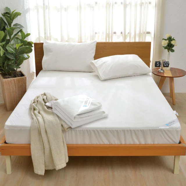 A-nice 護理級天絲床包式加高保潔墊/6呎加大 歷史價格詳細信息
