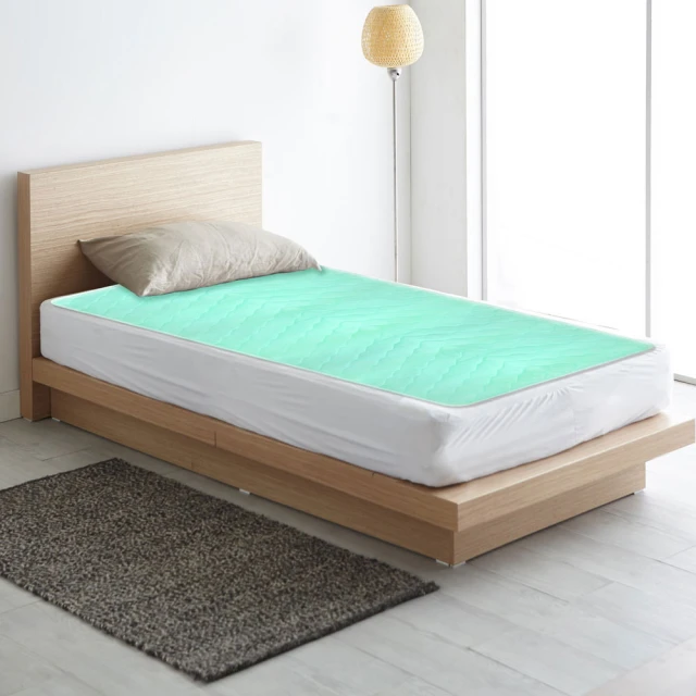 【SK不漏潔】消臭除菌居家護理防水保潔墊-中單 50x90cm(日本SEK抗菌、防黴、消臭認證 防水照護墊) 歷史價格詳細信息