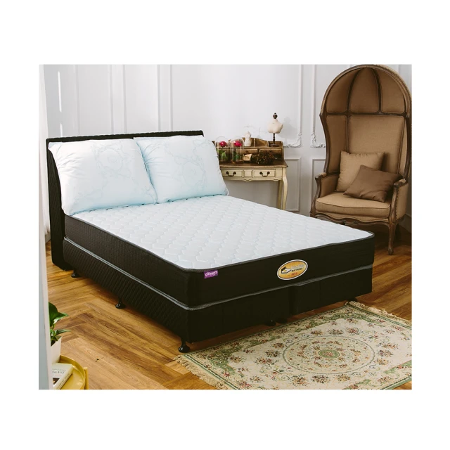 【床的世界】恆溫石墨烯/360度護框/涼感天絲/3D立體透氣  完美QQ眠獨立筒床墊適用 歷史價格詳細信息