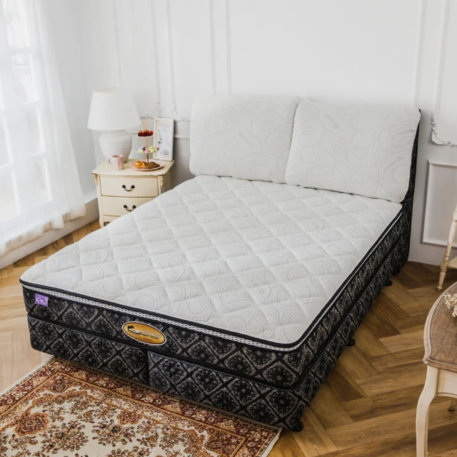 Q彈獨立筒枕 耐用不塌陷 好眠枕頭 Q彈偏硬枕《Embrace英柏絲》 歷史價格詳細信息