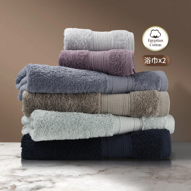 五星級御用羽之棉枕 2入 精緻嚴選素材 台灣製造 歷史價格詳細信息