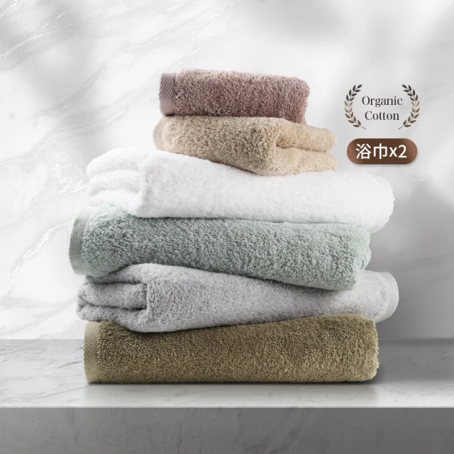 五星級御用羽之棉枕 2入 精緻嚴選素材 台灣製造 歷史價格詳細信息